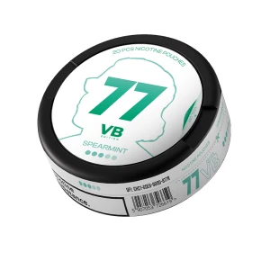 77 VB Spearmint Salty 10,4 mg